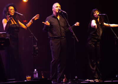 Lindsay Field John Farnham Concert